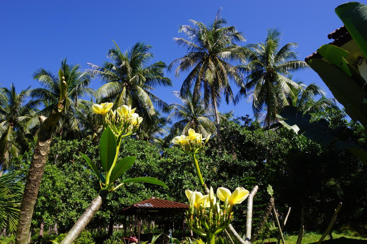 Twin Villas Apartment With Swimming Pool For 2 Houses Wok Tum Ngoại thất bức ảnh