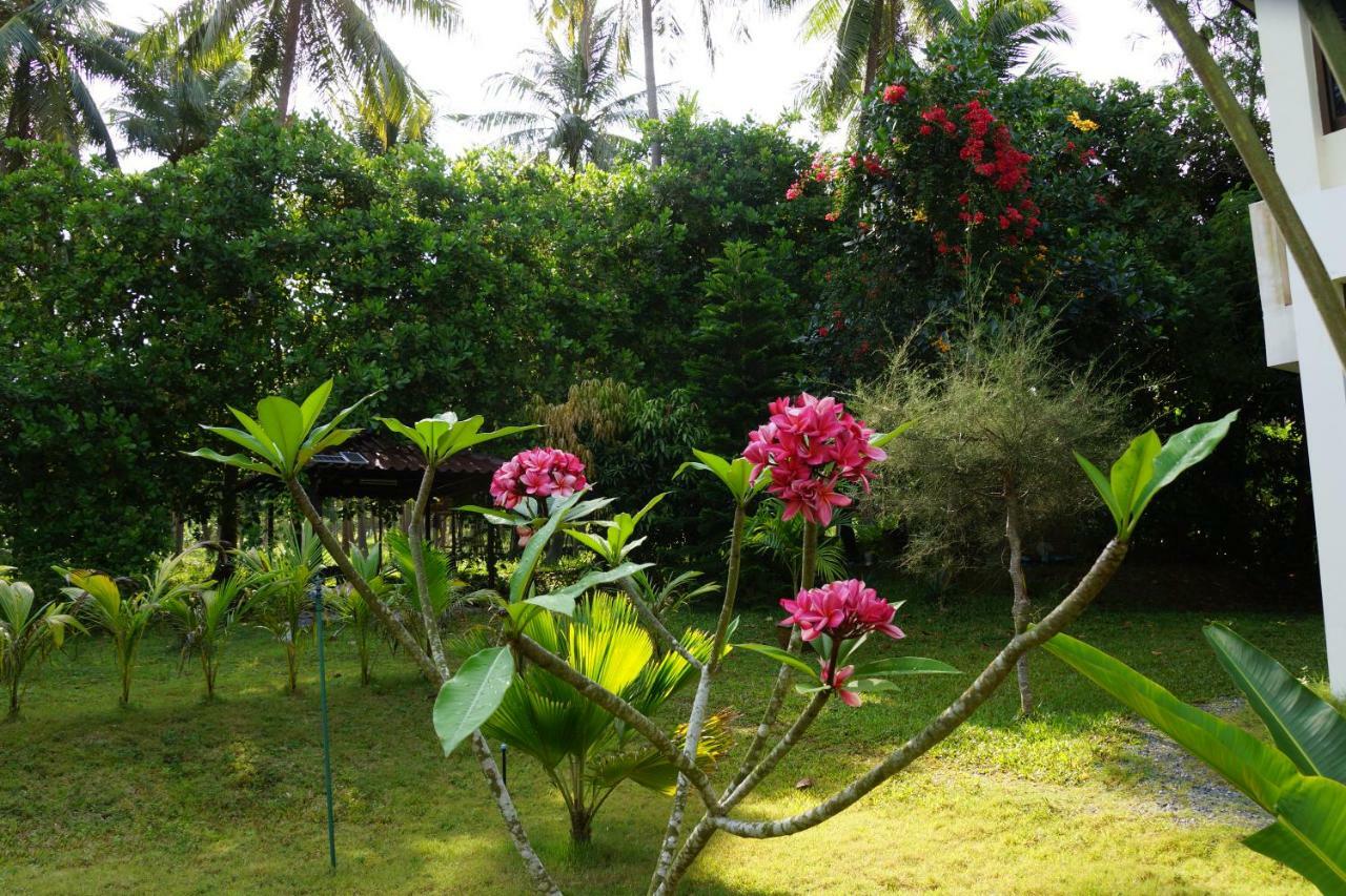 Twin Villas Apartment With Swimming Pool For 2 Houses Wok Tum Ngoại thất bức ảnh